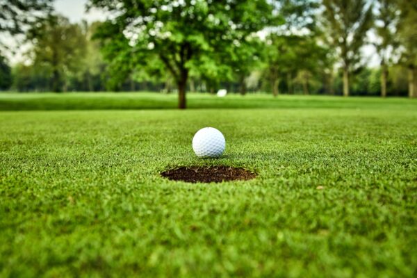 Golf ball on the green. golf ball on lip of cup